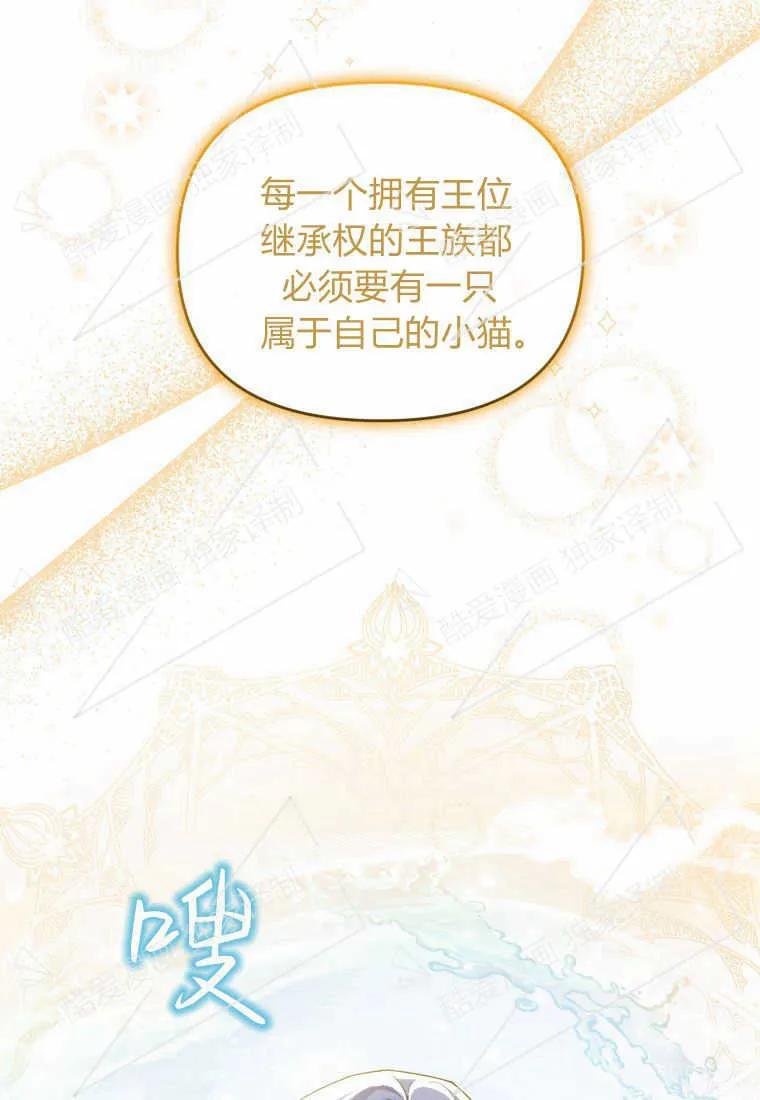 成为苏尔坦珍爱的猫咪 第06话 第28页