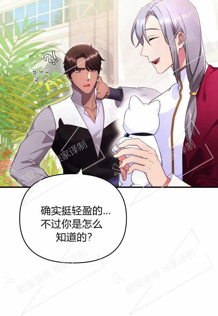 成为苏尔坦珍爱的猫咪 第06话 第40页