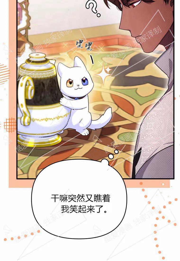 成为苏尔坦珍爱的猫咪 第06话 第12页