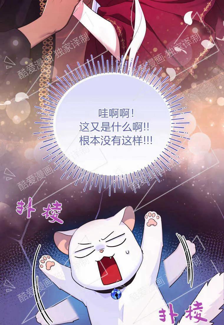 成为苏尔坦珍爱的猫咪 第06话 第58页