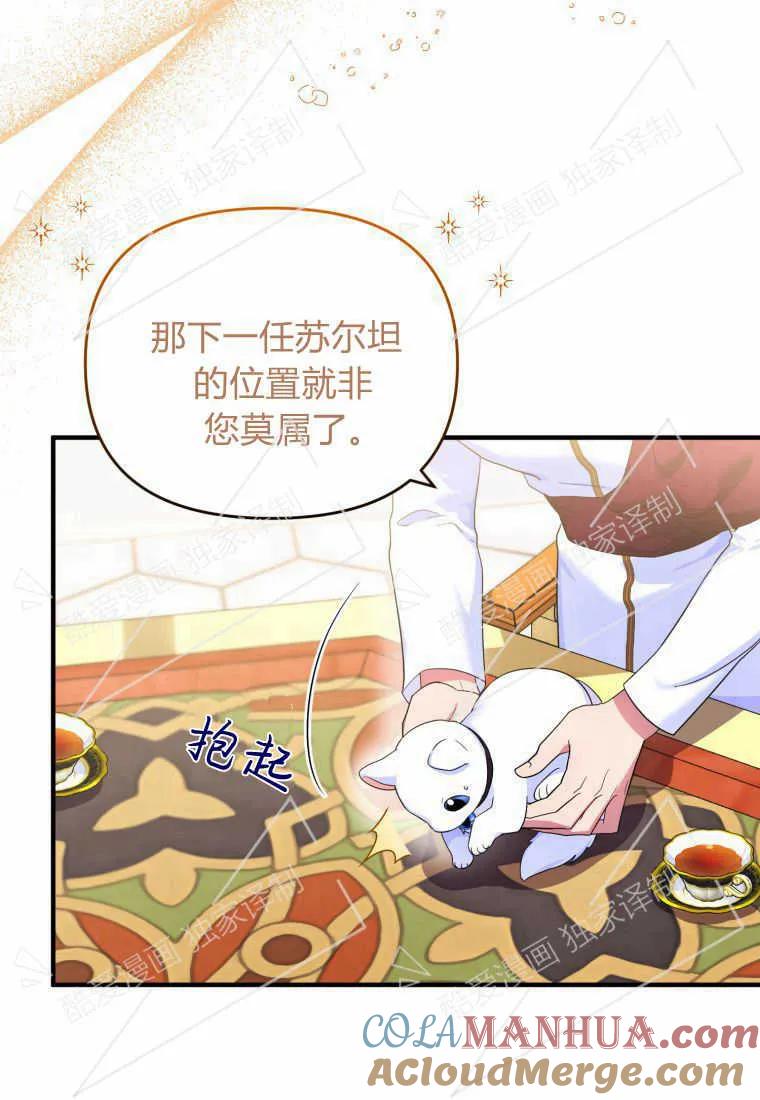 成为苏尔坦珍爱的猫咪 第06话 第37页