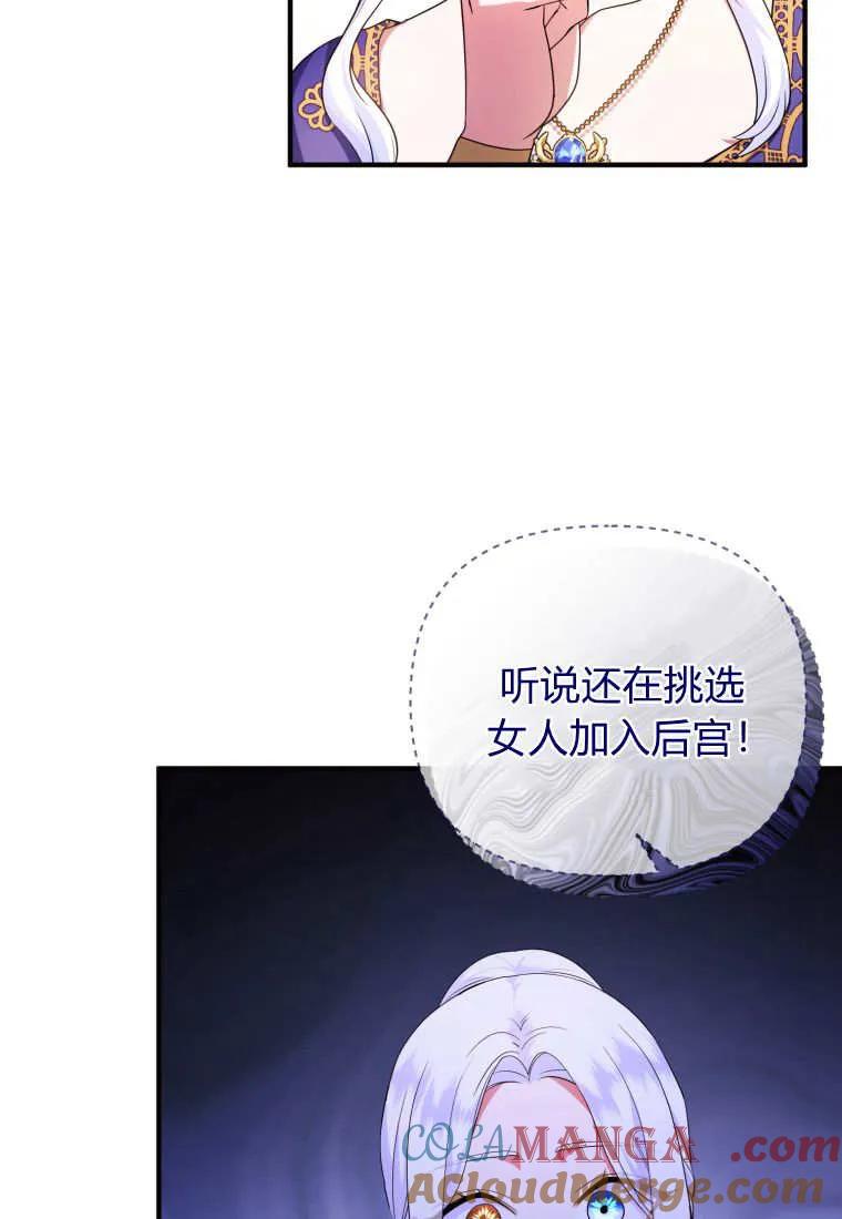 成为苏尔坦珍爱的猫咪 第61话 第40页