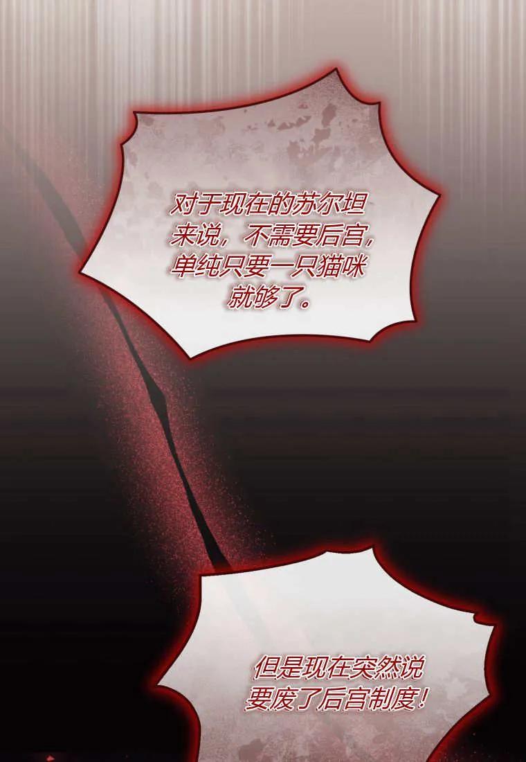 成为苏尔坦珍爱的猫咪 第62话 第14页