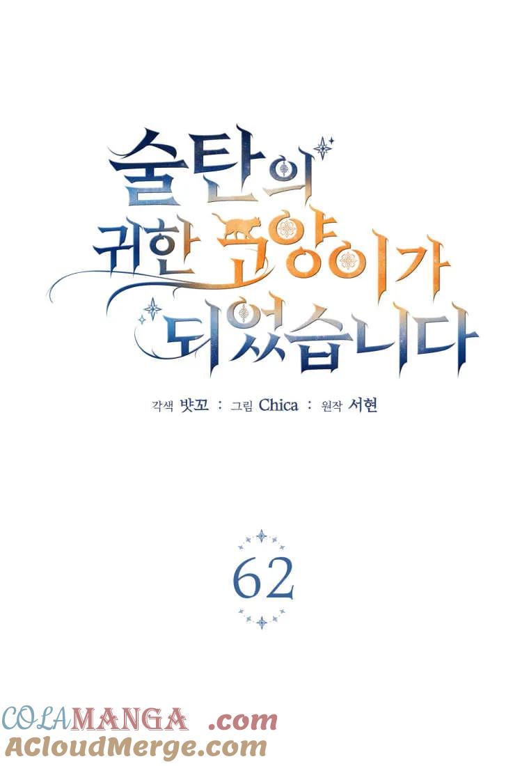 成为苏尔坦珍爱的猫咪 第62话 第37页