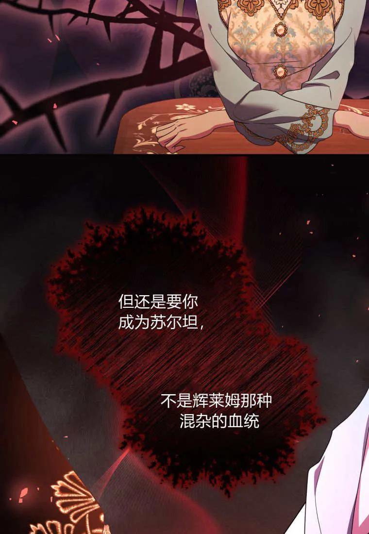 成为苏尔坦珍爱的猫咪 第62话 第68页