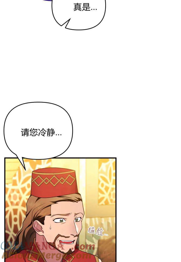 成为苏尔坦珍爱的猫咪 第62话 第28页