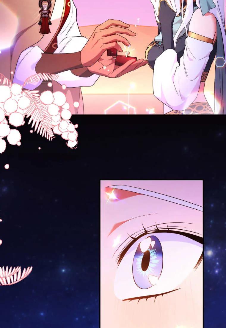 成为苏尔坦珍爱的猫咪 第63话 第34页
