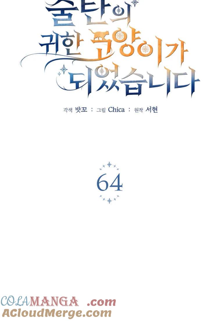 成为苏尔坦珍爱的猫咪 第64话 第13页