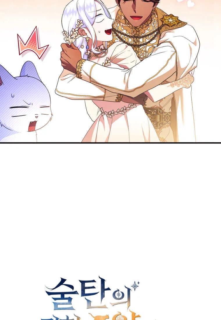 成为苏尔坦珍爱的猫咪 第65话 第36页