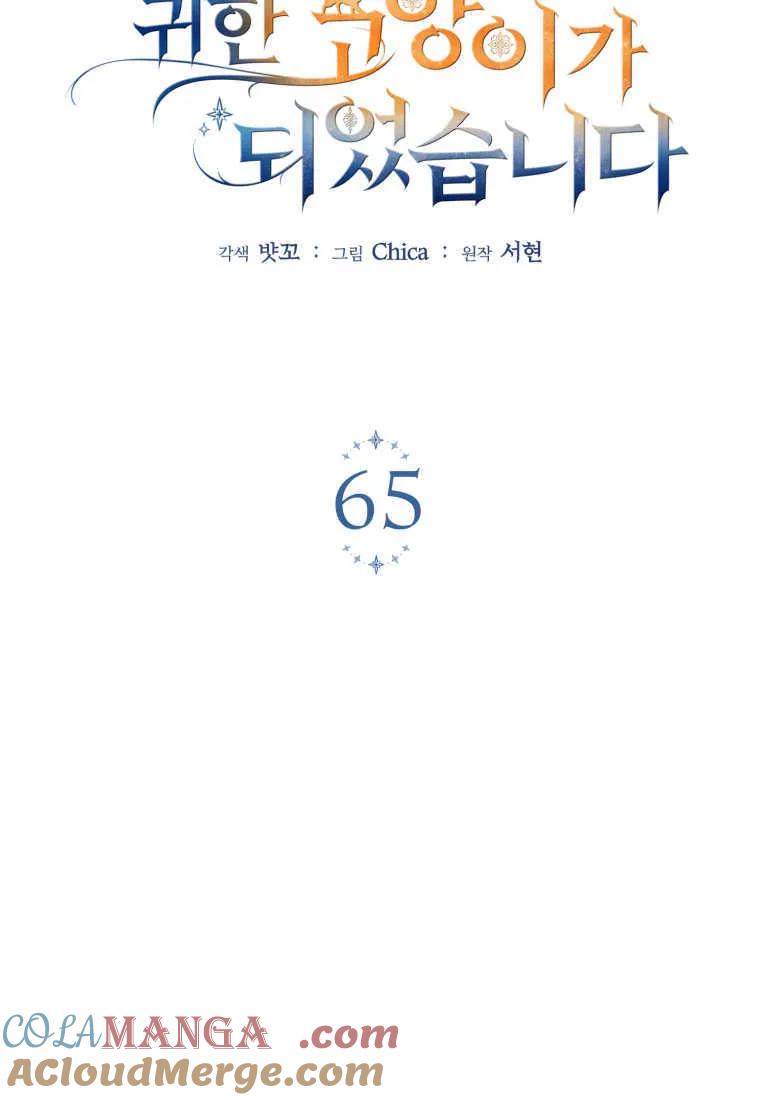 成为苏尔坦珍爱的猫咪 第65话 第37页