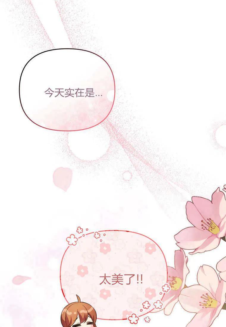 成为苏尔坦珍爱的猫咪 第65话 第2页