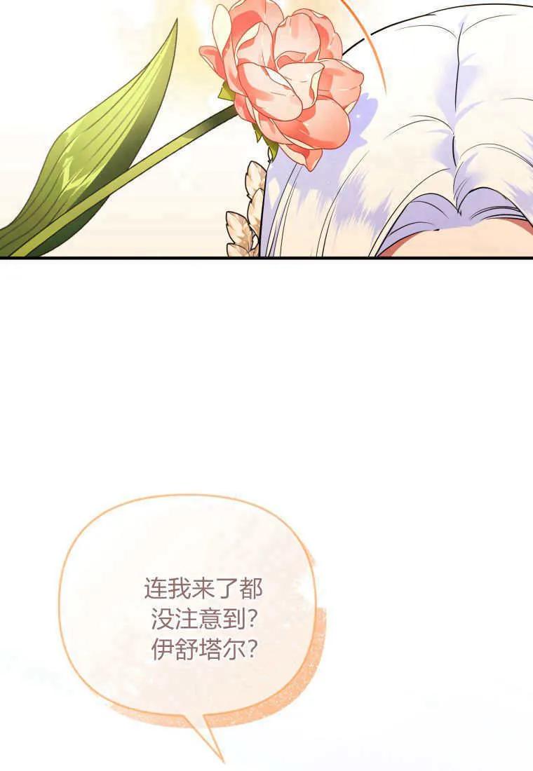 成为苏尔坦珍爱的猫咪 第65话 第14页