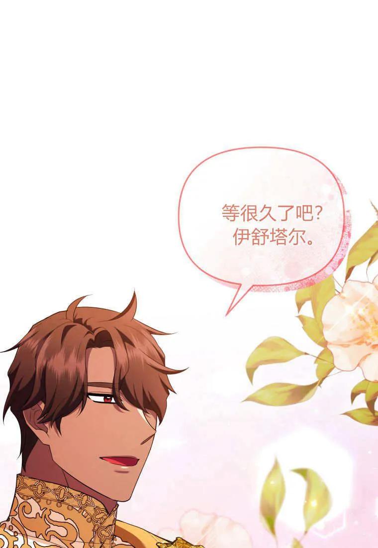 成为苏尔坦珍爱的猫咪 第65话 第54页