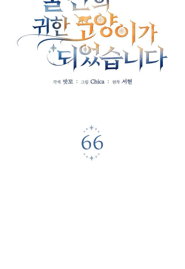 成为苏尔坦珍爱的猫咪 第66话 第17页