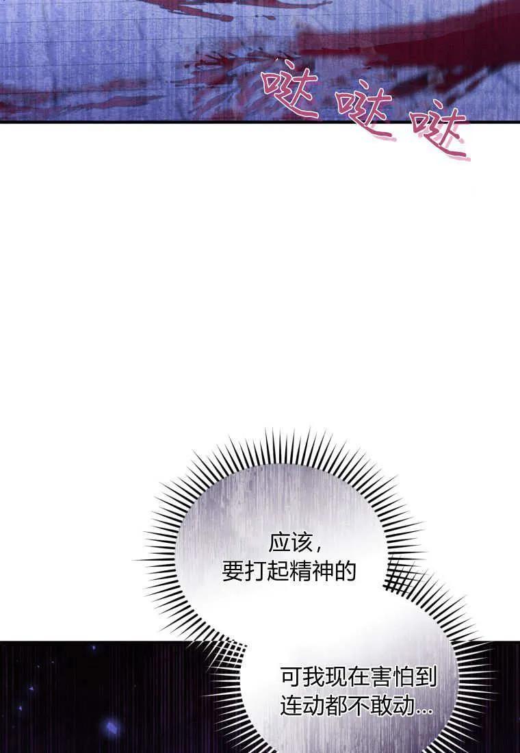 成为苏尔坦珍爱的猫咪 第66话 第5页
