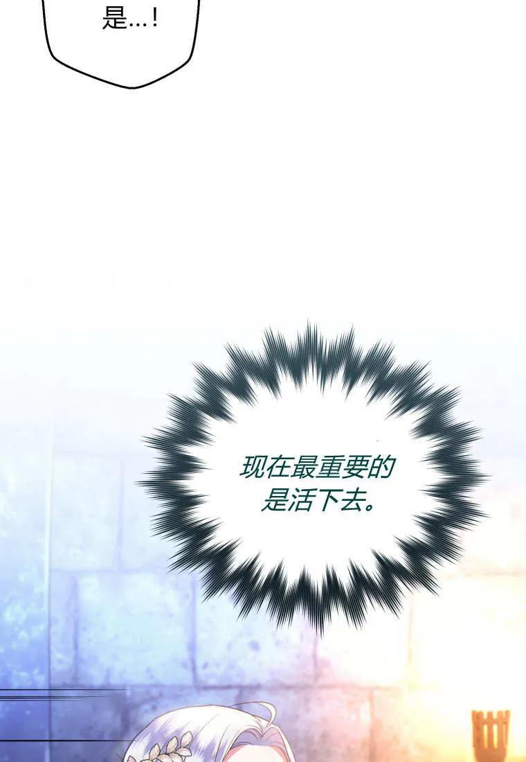 成为苏尔坦珍爱的猫咪 第66话 第50页