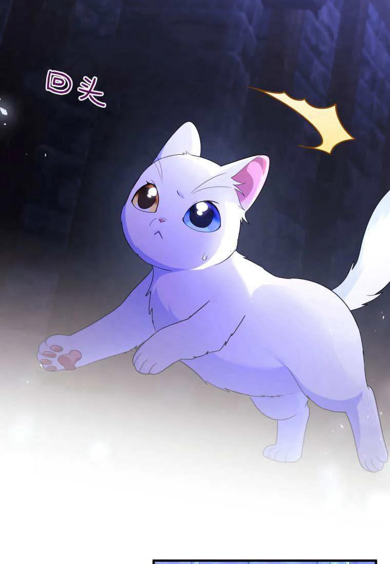 成为苏尔坦珍爱的猫咪 第68话 第30页