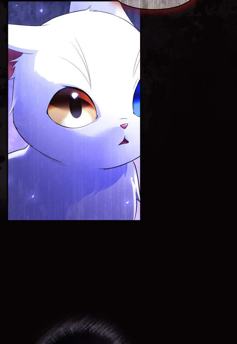 成为苏尔坦珍爱的猫咪 第68话 第24页