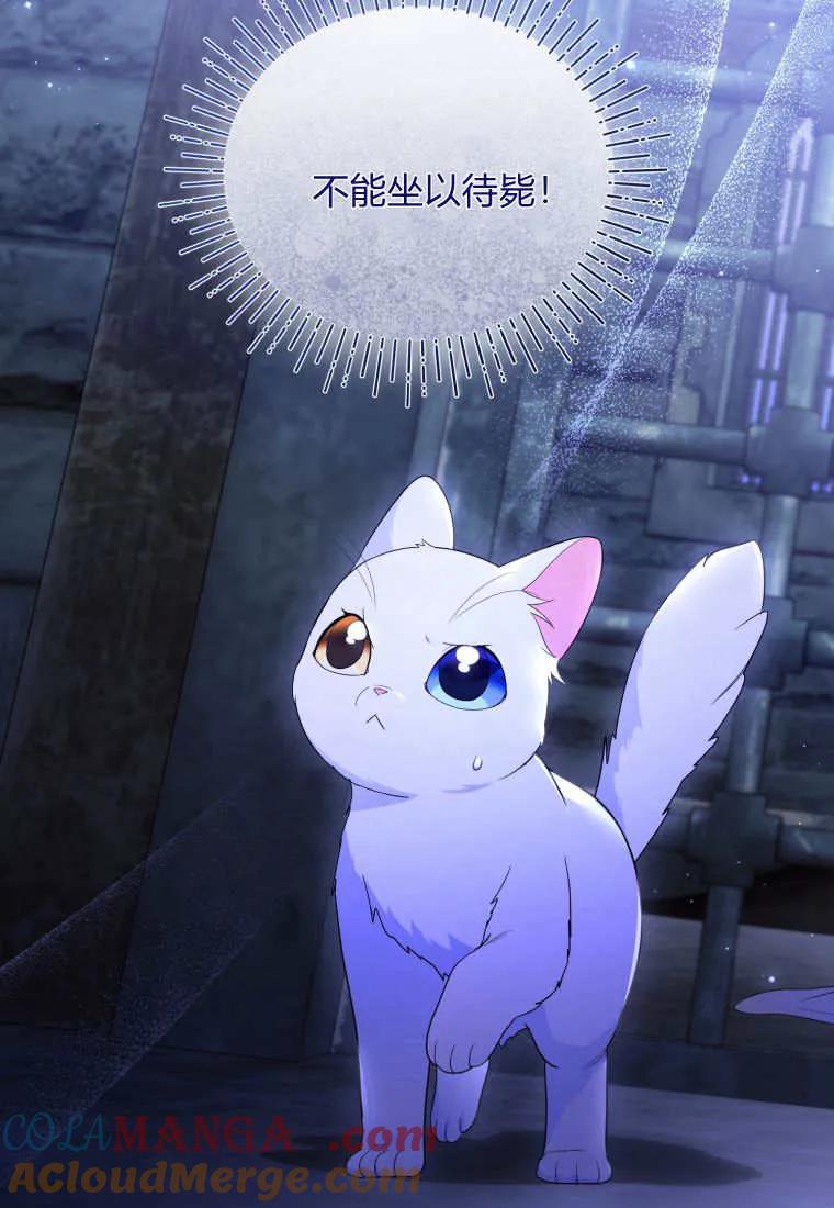 成为苏尔坦珍爱的猫咪 第68话 第16页