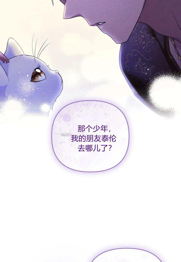 成为苏尔坦珍爱的猫咪 第68话 第75页