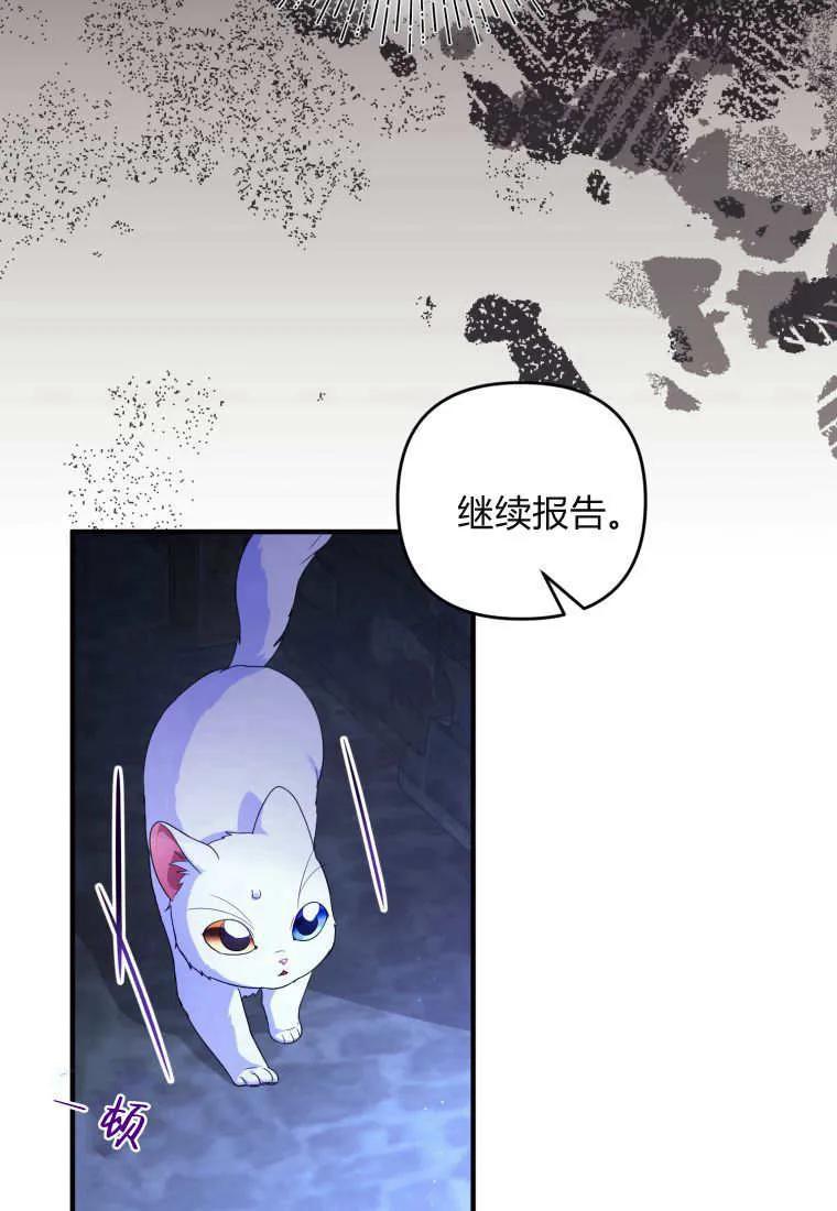 成为苏尔坦珍爱的猫咪 第68话 第20页