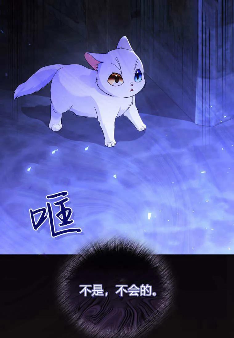 成为苏尔坦珍爱的猫咪 第68话 第26页