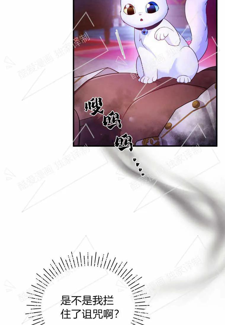 成为苏尔坦珍爱的猫咪 第07话 第4页