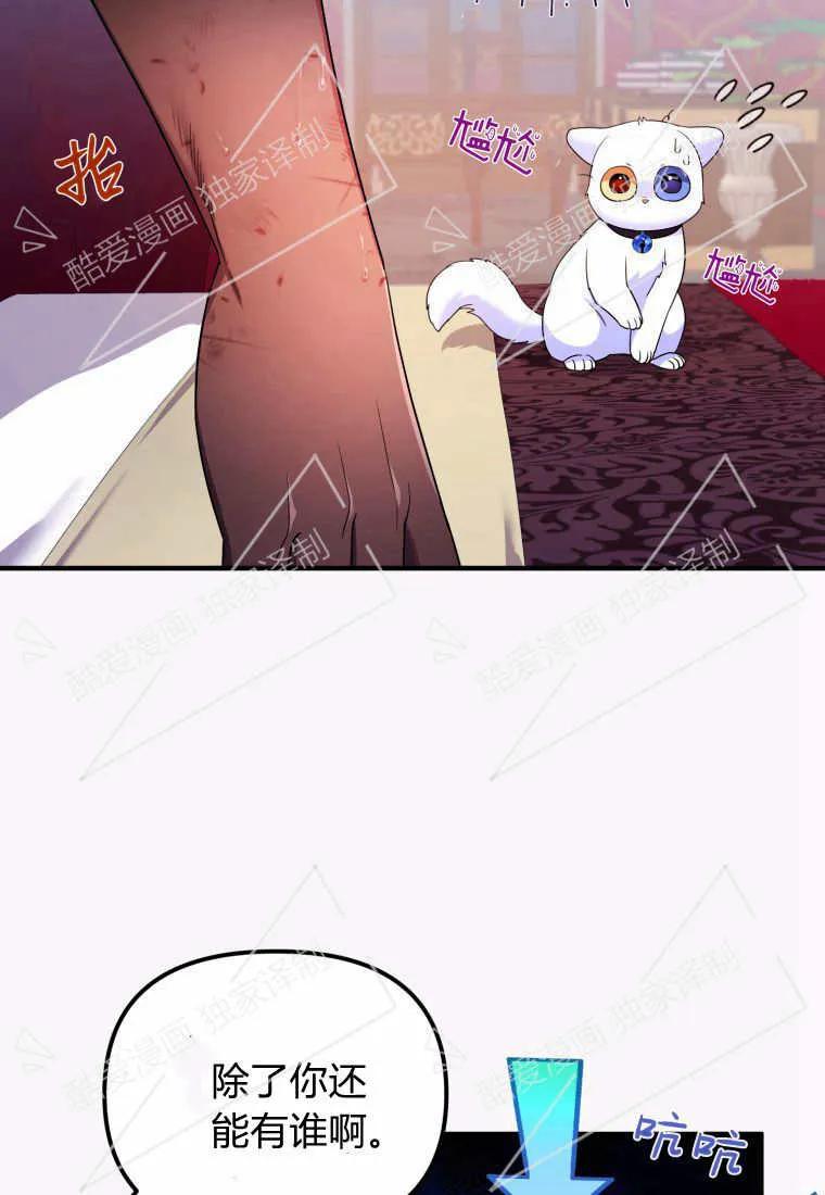 成为苏尔坦珍爱的猫咪 第07话 第41页