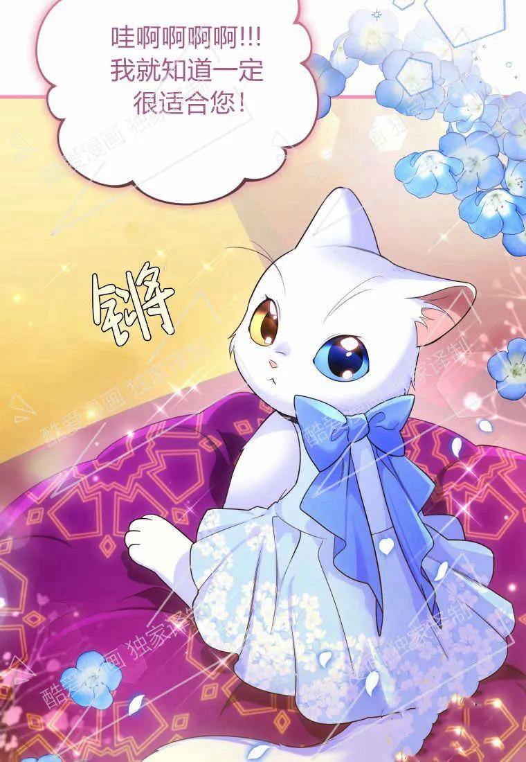 成为苏尔坦珍爱的猫咪 第07话 第56页