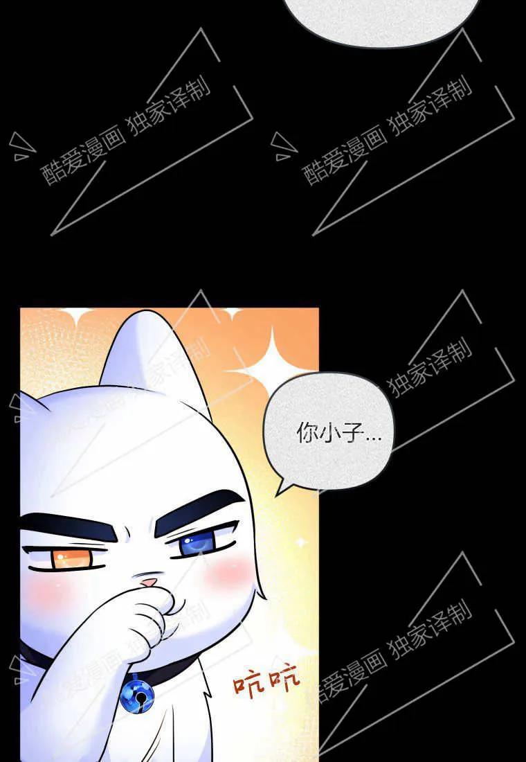 成为苏尔坦珍爱的猫咪 第07话 第31页