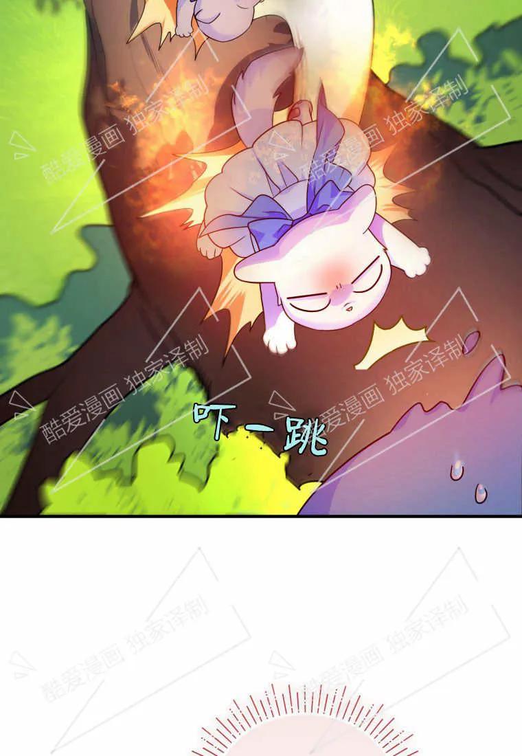 成为苏尔坦珍爱的猫咪 第07话 第76页