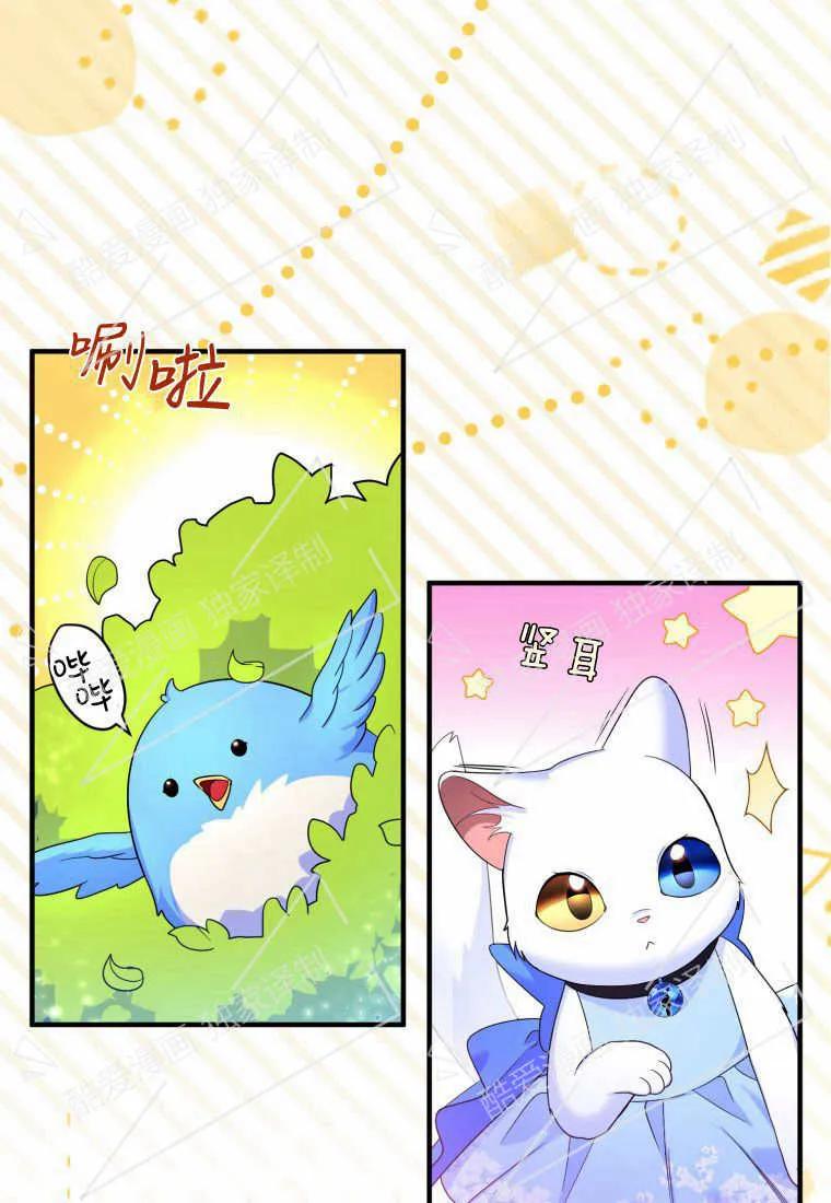 成为苏尔坦珍爱的猫咪 第07话 第67页