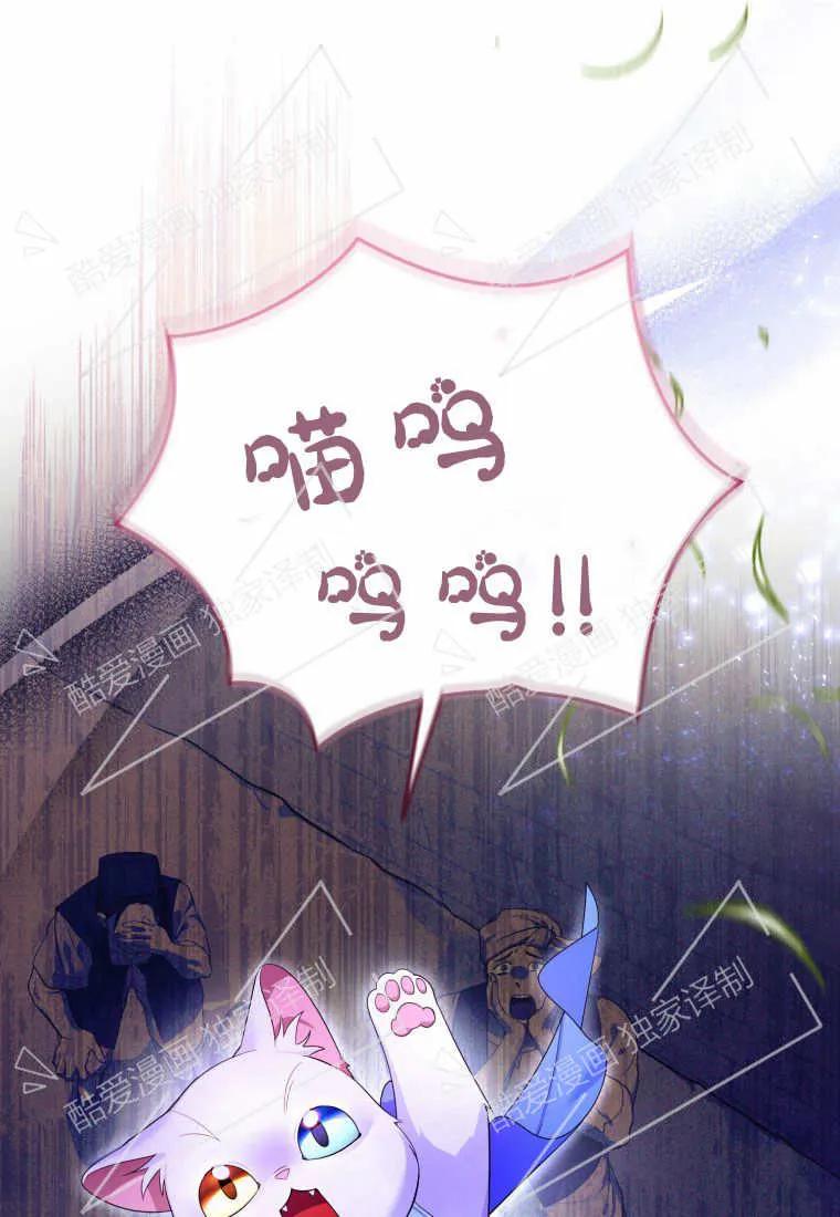 成为苏尔坦珍爱的猫咪 第07话 第80页