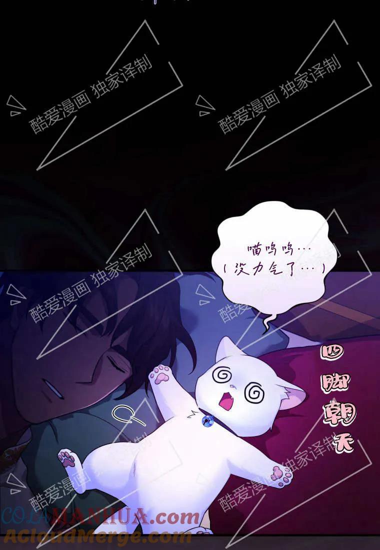 成为苏尔坦珍爱的猫咪 第07话 第12页
