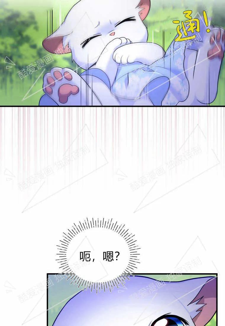 成为苏尔坦珍爱的猫咪 第07话 第83页