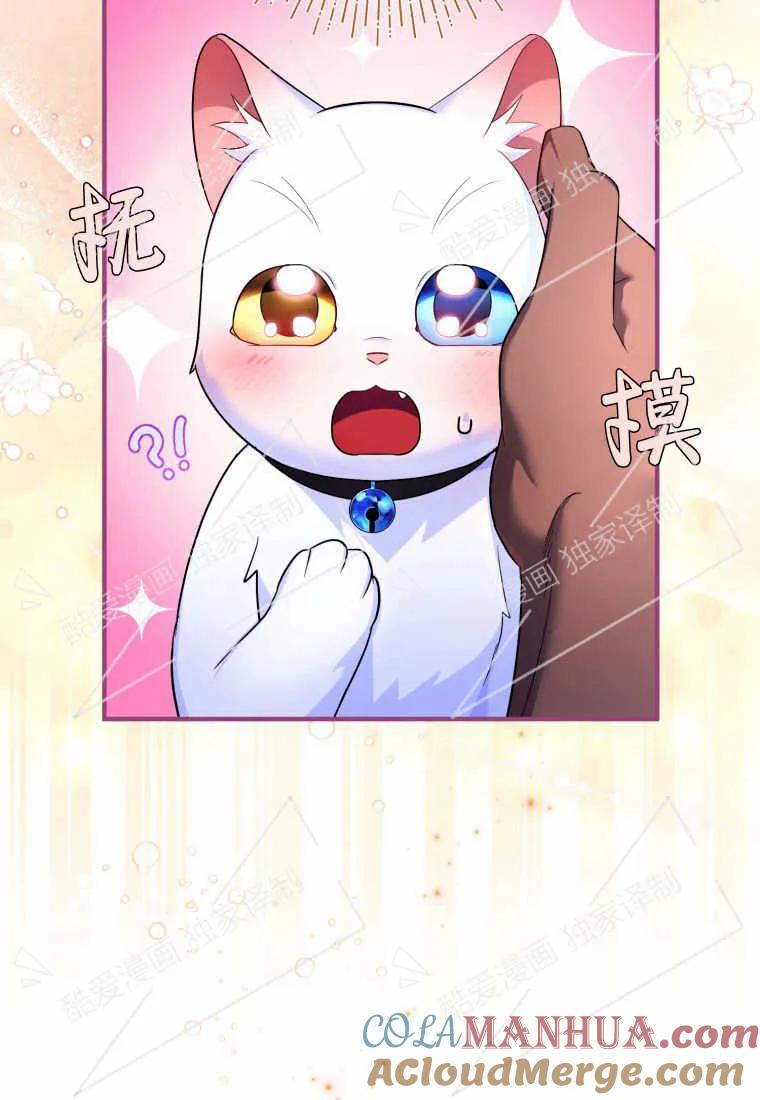 成为苏尔坦珍爱的猫咪 第07话 第45页