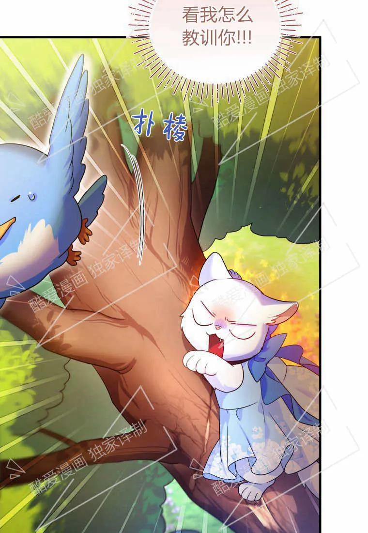 成为苏尔坦珍爱的猫咪 第07话 第77页