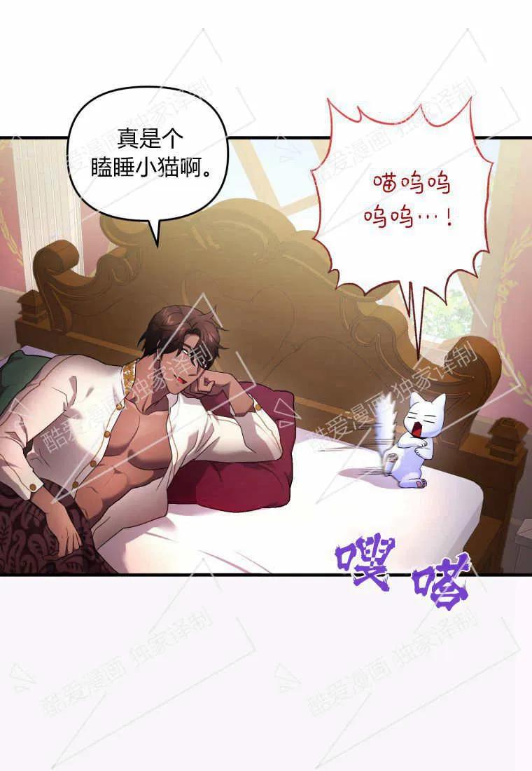 成为苏尔坦珍爱的猫咪 第07话 第37页
