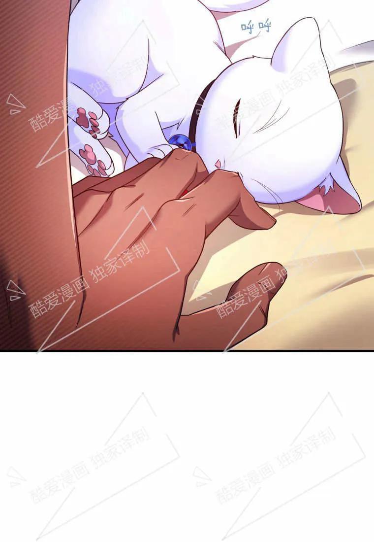 成为苏尔坦珍爱的猫咪 第07话 第19页