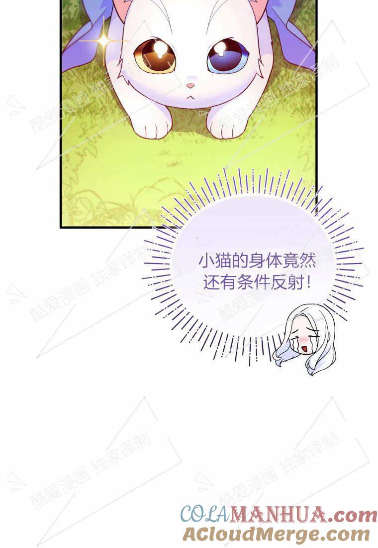 成为苏尔坦珍爱的猫咪 第07话 第69页