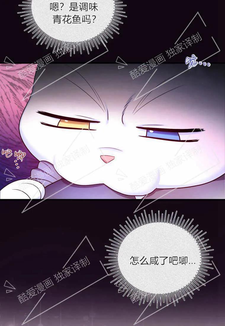 成为苏尔坦珍爱的猫咪 第07话 第34页