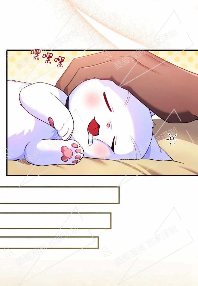成为苏尔坦珍爱的猫咪 第07话 第26页