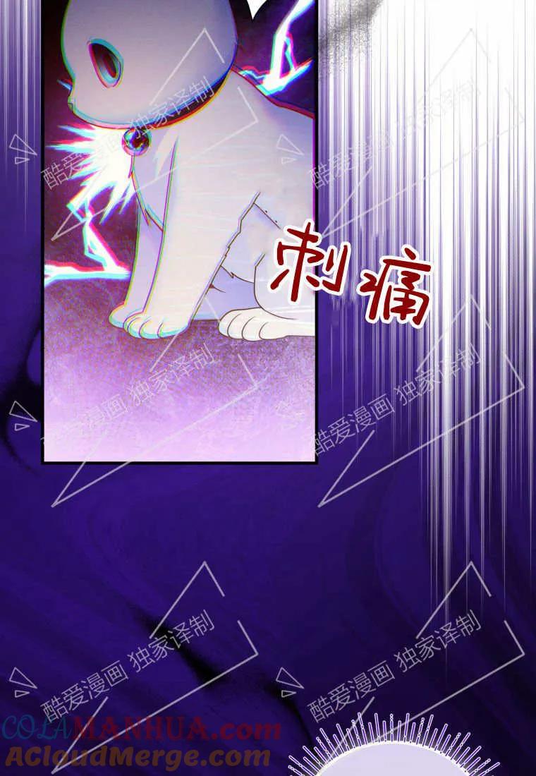 成为苏尔坦珍爱的猫咪 第07话 第9页