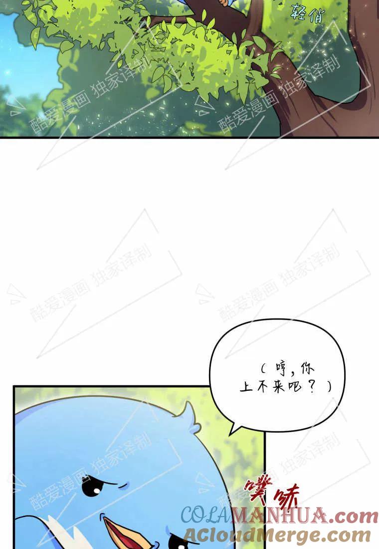 成为苏尔坦珍爱的猫咪 第07话 第72页
