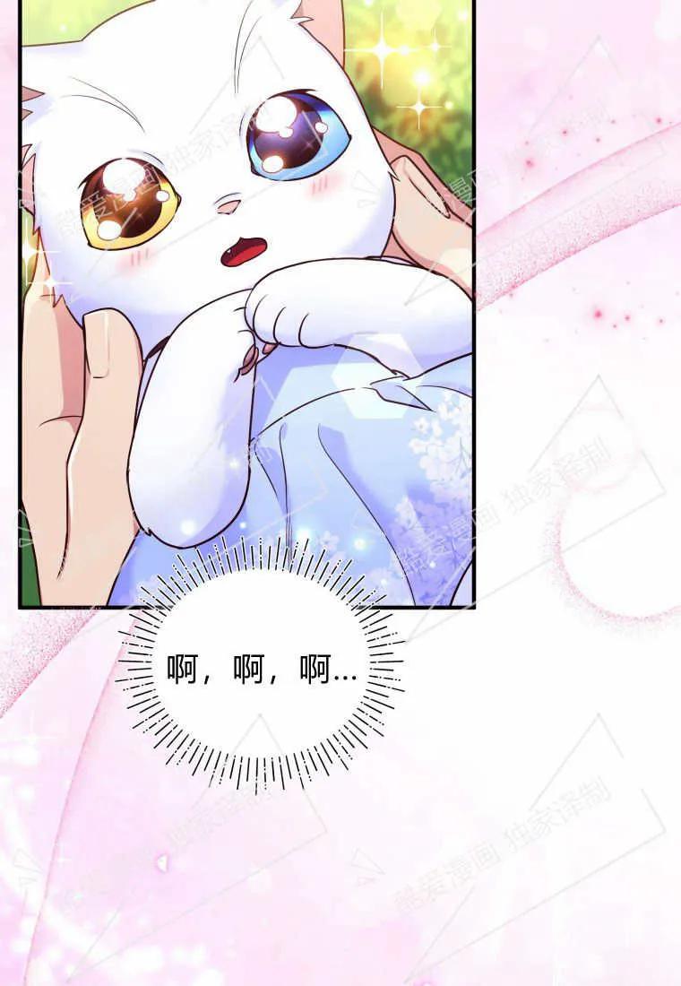 成为苏尔坦珍爱的猫咪 第07话 第86页