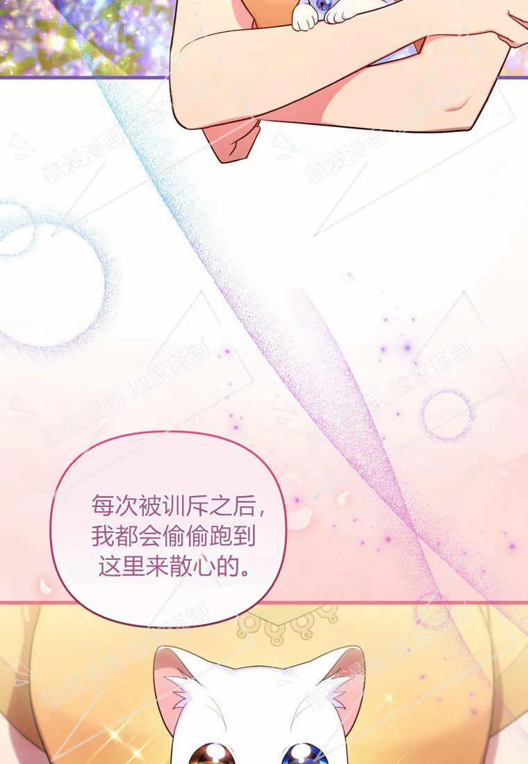 成为苏尔坦珍爱的猫咪 第07话 第62页