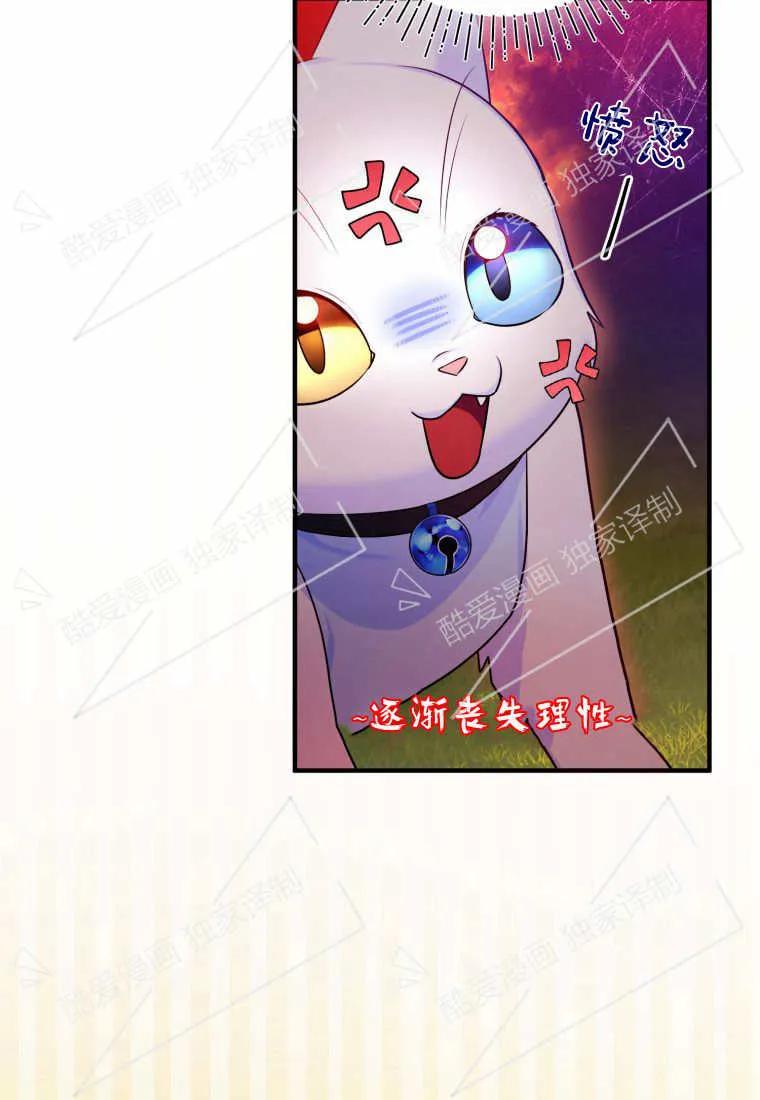 成为苏尔坦珍爱的猫咪 第07话 第74页
