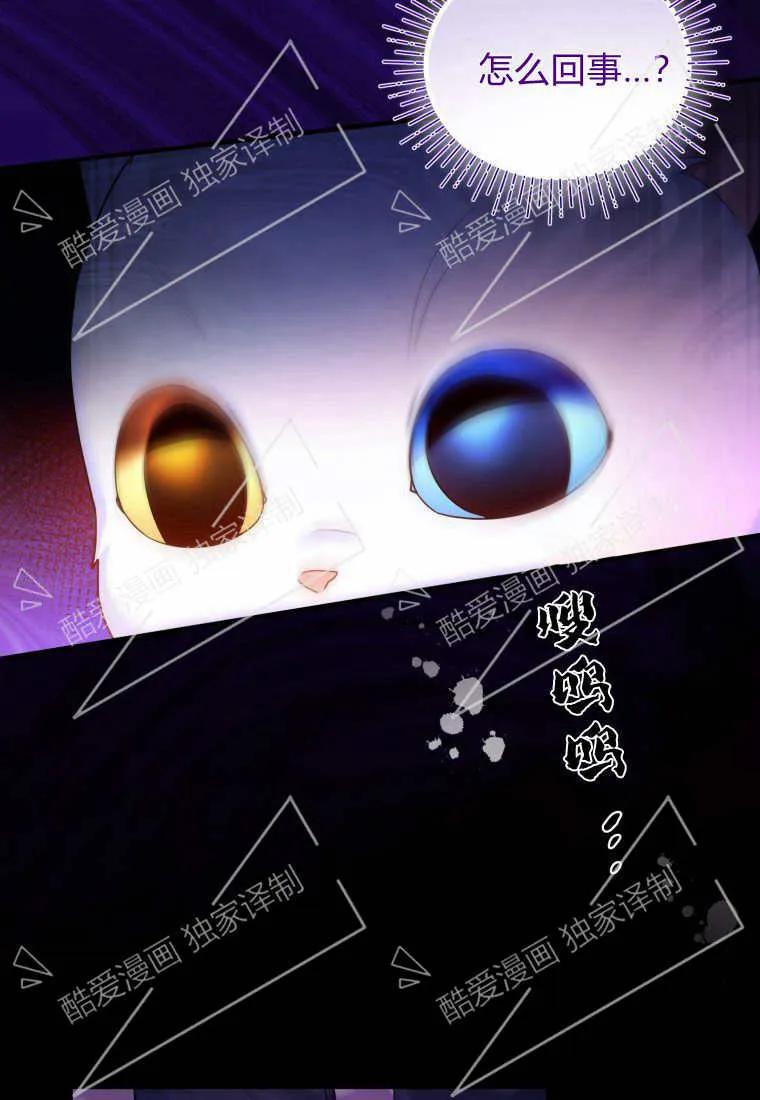 成为苏尔坦珍爱的猫咪 第07话 第10页
