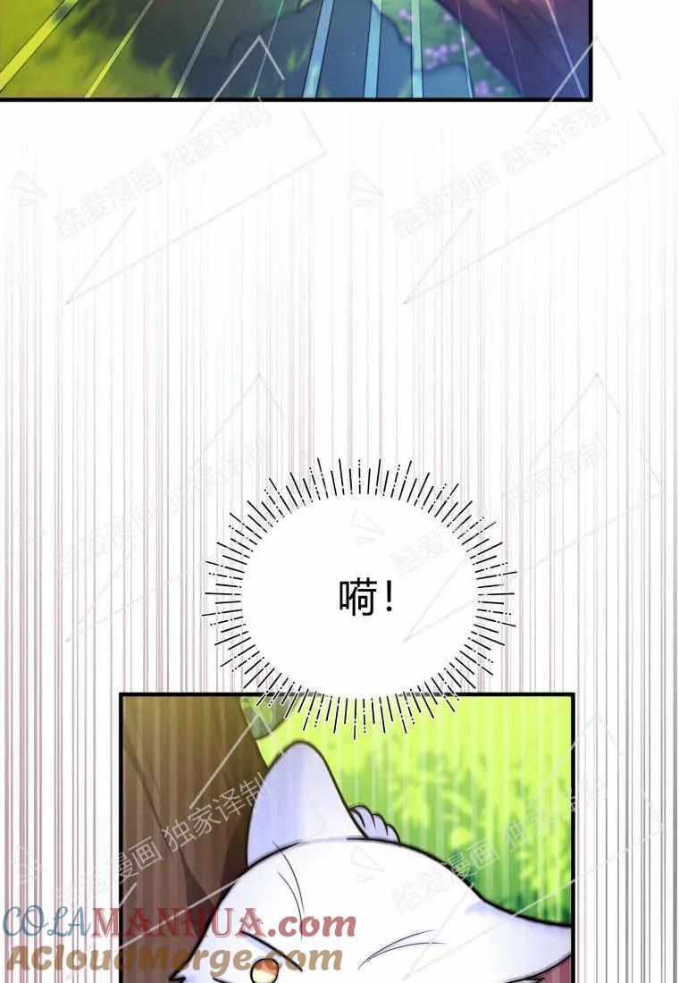 成为苏尔坦珍爱的猫咪 第07话 第78页