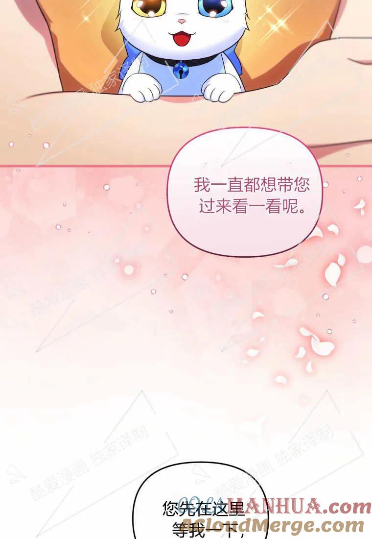 成为苏尔坦珍爱的猫咪 第07话 第63页
